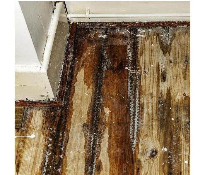 water damaged hardwood floor 