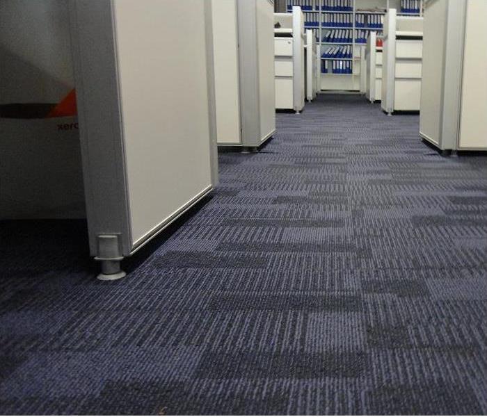 view of office; carpet and cubicles