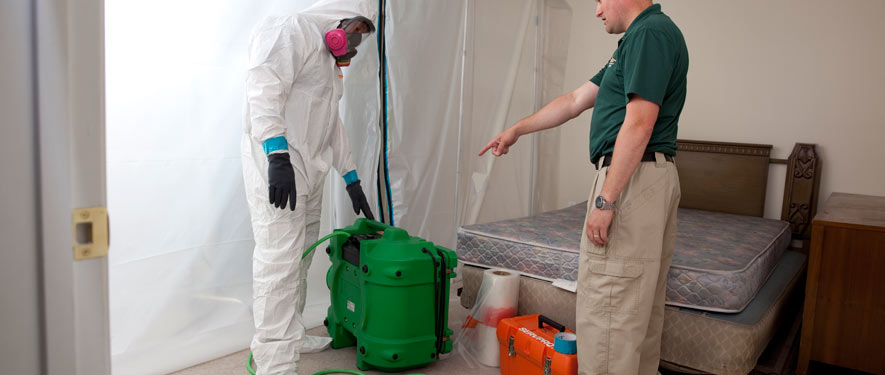 Agoura, CA mold removal process